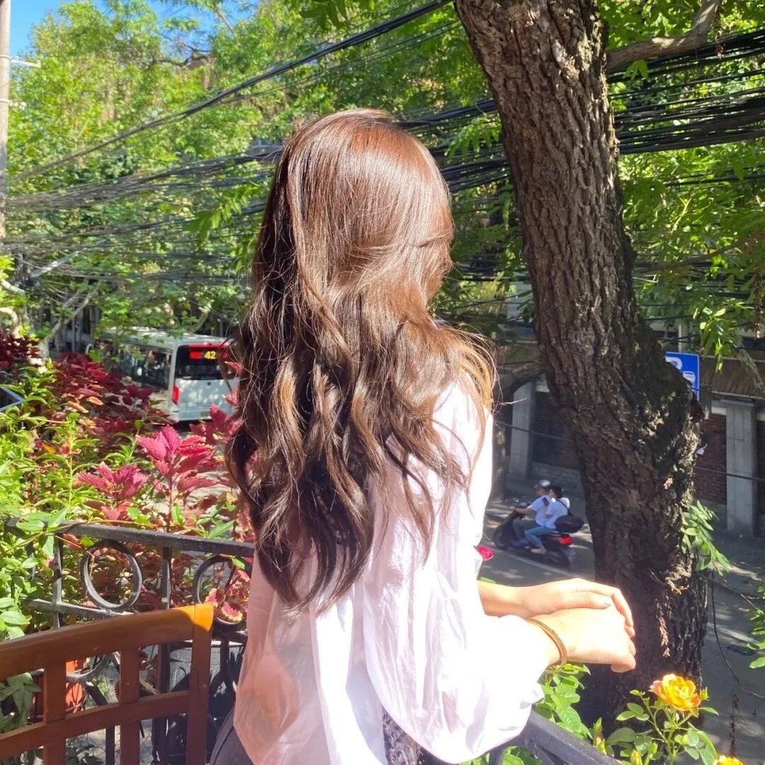 玫瑰
